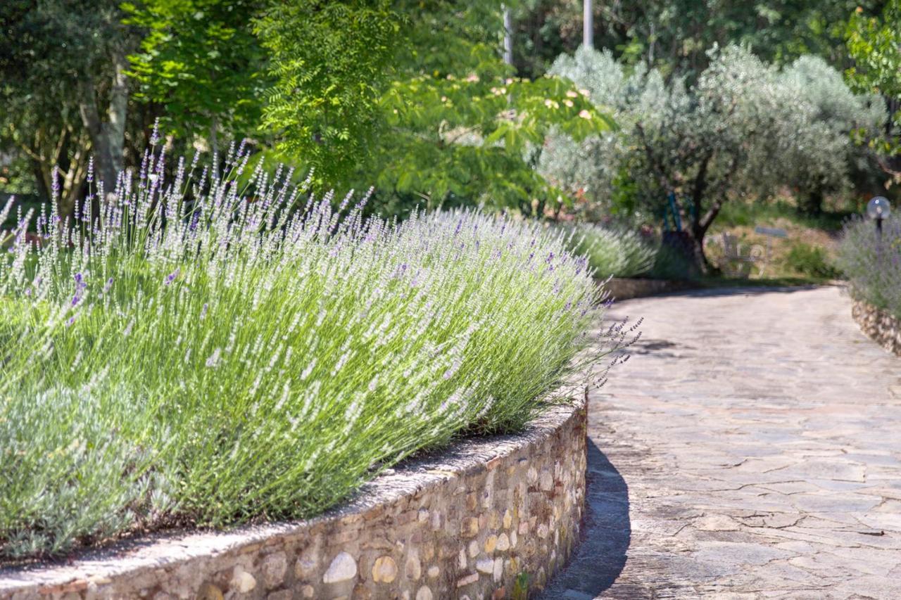 Agriturismo La Valle A Polvereto Tavarnelle Val di Pesa Экстерьер фото