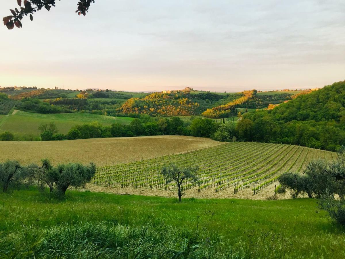 Agriturismo La Valle A Polvereto Tavarnelle Val di Pesa Экстерьер фото