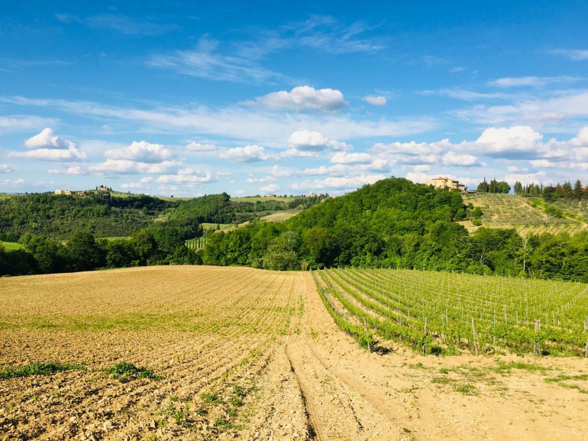 Agriturismo La Valle A Polvereto Tavarnelle Val di Pesa Экстерьер фото